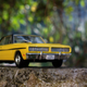 Illustration for article titled Feijoada Friday - 1975 Dodge Charger R/T